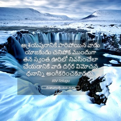 Picture 05 - సంఖ్యాకాండం 35:32 TELIRV - ఆశ్రయపురానికి - Bible Verse Picture