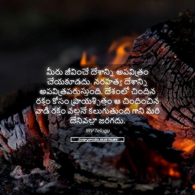 Picture 05 - సంఖ్యాకాండం 35:33 TELIRV - మీరు జీవించే - Bible Verse Picture