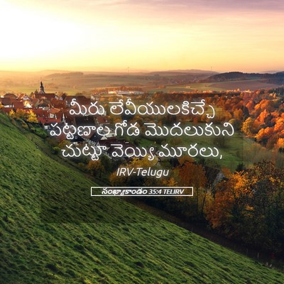 Picture 05 - సంఖ్యాకాండం 35:4 TELIRV - మీరు - Bible Verse Picture