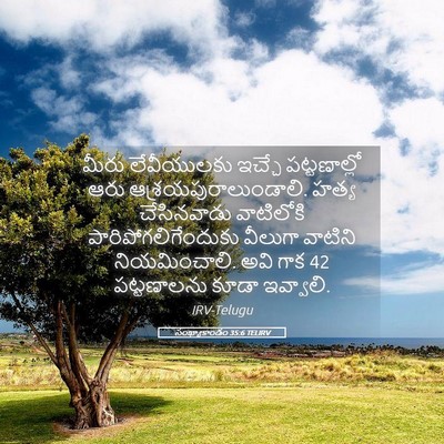 Picture 05 - సంఖ్యాకాండం 35:6 TELIRV - మీరు లేవీయులకు - Bible Verse Picture