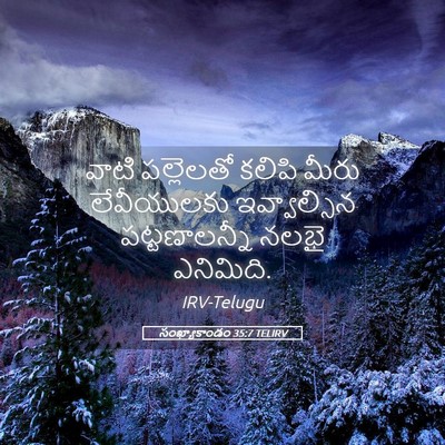 Picture 05 - సంఖ్యాకాండం 35:7 TELIRV - వాటి పల్లెలతో - Bible Verse Picture