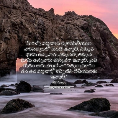 Picture 05 - సంఖ్యాకాండం 35:8 TELIRV - మీరిచ్చే పట్టణాలు - Bible Verse Picture