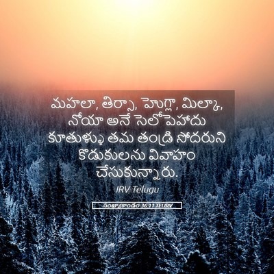 Picture 05 - సంఖ్యాకాండం 36:11 TELIRV - మహలా, తిర్సా, - Bible Verse Picture