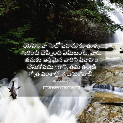 Picture 05 - సంఖ్యాకాండం 36:6 TELIRV - యెహోవా సెలోపెహాదు - Bible Verse Picture