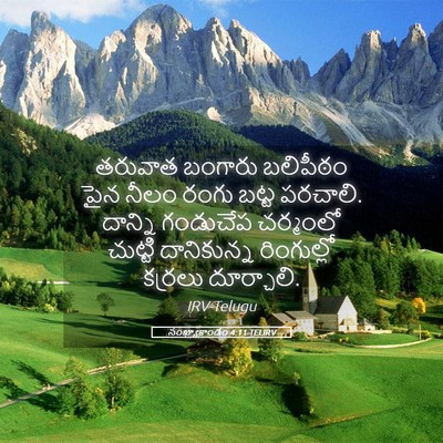 Picture 05 - సంఖ్యాకాండం 4:11 TELIRV - తరువాత బంగారు - Bible Verse Picture