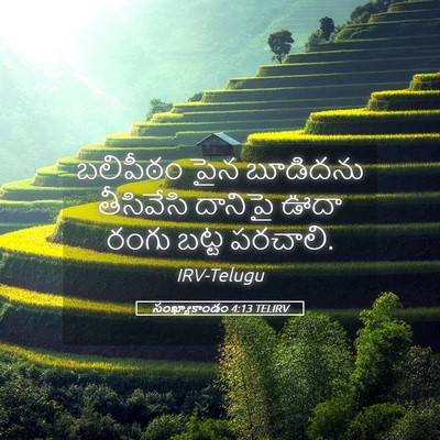 Picture 05 - సంఖ్యాకాండం 4:13 TELIRV - బలిపీఠం పైన - Bible Verse Picture