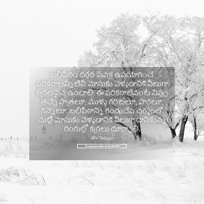 Picture 05 - సంఖ్యాకాండం 4:14 TELIRV - బలిపీఠం దగ్గర - Bible Verse Picture