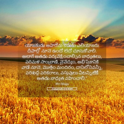 Picture 05 - సంఖ్యాకాండం 4:16 TELIRV - యాజకుడు అహరోను - Bible Verse Picture