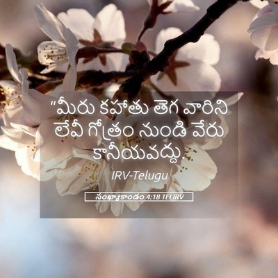 Picture 05 - సంఖ్యాకాండం 4:18 TELIRV - “మీరు కహాతు తెగ - Bible Verse Picture