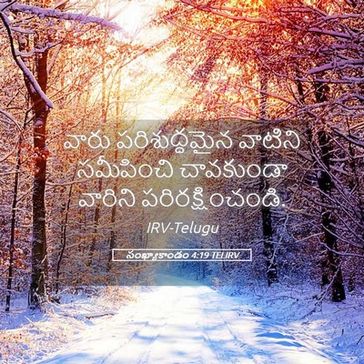 Picture 05 - సంఖ్యాకాండం 4:19 TELIRV - వారు పరిశుద్ధమైన - Bible Verse Picture