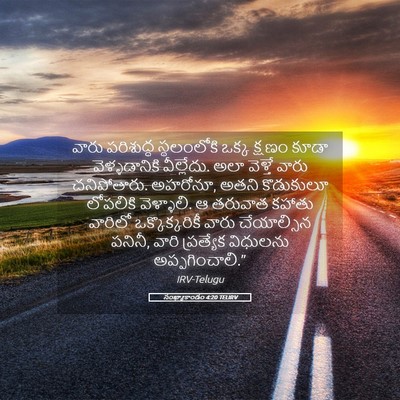 Picture 05 - సంఖ్యాకాండం 4:20 TELIRV - వారు పరిశుద్ధ - Bible Verse Picture