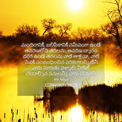 Picture 05 - సంఖ్యాకాండం 4:26 TELIRV - మందిరానికీ, - Bible Verse Picture