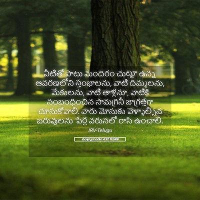 Picture 05 - సంఖ్యాకాండం 4:32 TELIRV - వీటితో పాటు - Bible Verse Picture