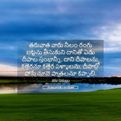 Picture 05 - సంఖ్యాకాండం 4:9 TELIRV - తరువాత వారు నీలం - Bible Verse Picture