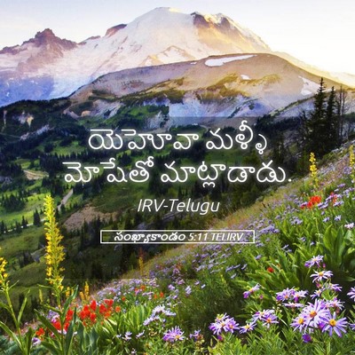 Picture 05 - సంఖ్యాకాండం 5:11 TELIRV - యెహోవా మళ్ళీ - Bible Verse Picture