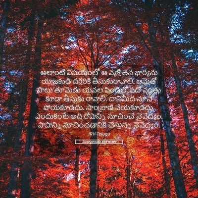 Picture 05 - సంఖ్యాకాండం 5:15 TELIRV - అలాంటి విషయంలో ఆ - Bible Verse Picture