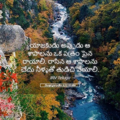 Picture 05 - సంఖ్యాకాండం 5:23 TELIRV - యాజకుడు అప్పుడు ఆ - Bible Verse Picture