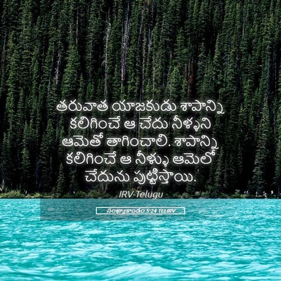 Picture 05 - సంఖ్యాకాండం 5:24 TELIRV - తరువాత యాజకుడు - Bible Verse Picture
