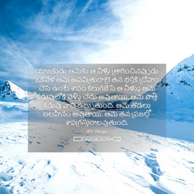 Picture 05 - సంఖ్యాకాండం 5:27 TELIRV - యాజకుడు ఆమెకు ఆ - Bible Verse Picture