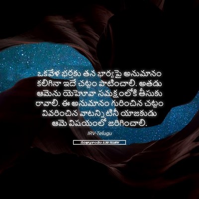 Picture 05 - సంఖ్యాకాండం 5:30 TELIRV - ఒకవేళ భర్తకు తన - Bible Verse Picture