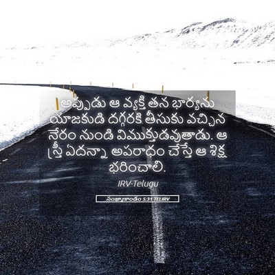 Picture 05 - సంఖ్యాకాండం 5:31 TELIRV - అప్పుడు ఆ వ్యక్తి - Bible Verse Picture