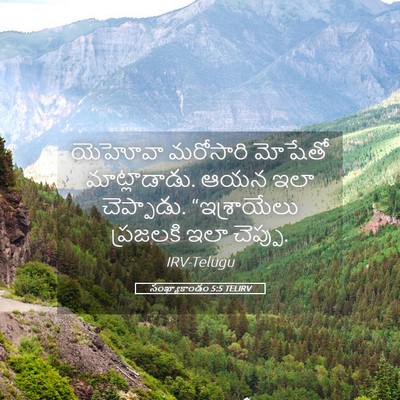 Picture 05 - సంఖ్యాకాండం 5:5 TELIRV - యెహోవా మరోసారి - Bible Verse Picture