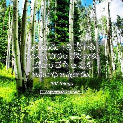 Picture 05 - సంఖ్యాకాండం 5:6 TELIRV - పురుషుడు గానీ - Bible Verse Picture