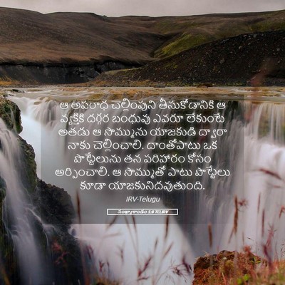 Picture 05 - సంఖ్యాకాండం 5:8 TELIRV - ఆ అపరాధ - Bible Verse Picture