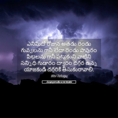 Picture 05 - సంఖ్యాకాండం 6:10 TELIRV - ఎనిమిదో రోజున - Bible Verse Picture