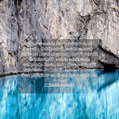 Picture 05 - సంఖ్యాకాండం 6:12 TELIRV - తరువాత అతడు - Bible Verse Picture