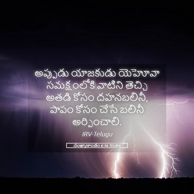 Picture 05 - సంఖ్యాకాండం 6:16 TELIRV - అప్పుడు యాజకుడు - Bible Verse Picture