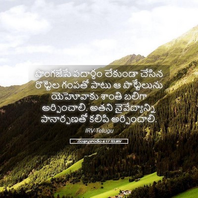 Picture 05 - సంఖ్యాకాండం 6:17 TELIRV - పొంగజేసే పదార్ధం - Bible Verse Picture