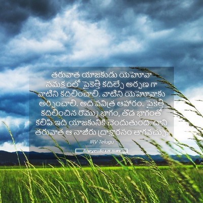 Picture 05 - సంఖ్యాకాండం 6:20 TELIRV - తరువాత యాజకుడు - Bible Verse Picture