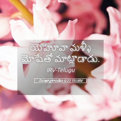 Picture 05 - సంఖ్యాకాండం 6:22 TELIRV - యెహోవా మళ్ళీ - Bible Verse Picture