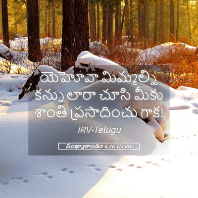 Picture 05 - సంఖ్యాకాండం 6:26 TELIRV - యెహోవా మిమ్మల్ని - Bible Verse Picture