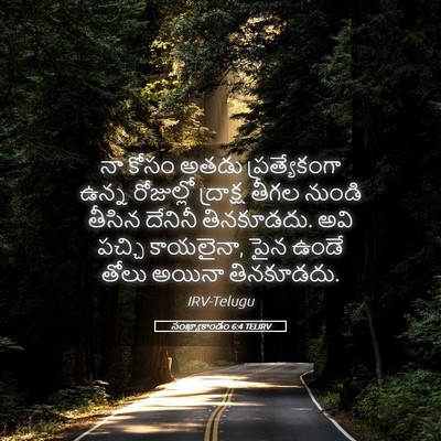 Picture 05 - సంఖ్యాకాండం 6:4 TELIRV - నా కోసం అతడు - Bible Verse Picture