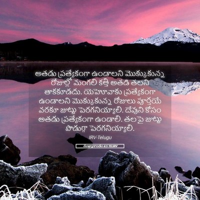 Picture 05 - సంఖ్యాకాండం 6:5 TELIRV - అతడు ప్రత్యేకంగా - Bible Verse Picture