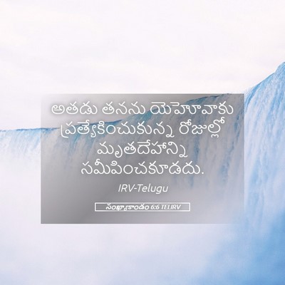 Picture 05 - సంఖ్యాకాండం 6:6 TELIRV - అతడు తనను - Bible Verse Picture