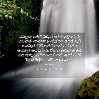 Picture 05 - సంఖ్యాకాండం 6:9 TELIRV - ఎవరైనా అతని - Bible Verse Picture