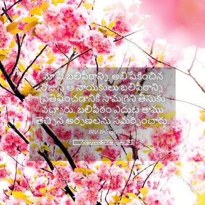Picture 05 - సంఖ్యాకాండం 7:10 TELIRV - మోషే బలిపీఠాన్ని - Bible Verse Picture