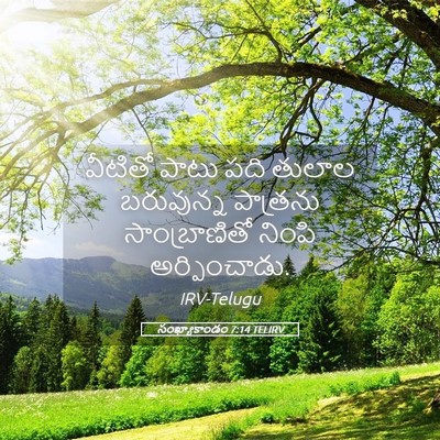 Picture 05 - సంఖ్యాకాండం 7:14 TELIRV - వీటితో పాటు పది - Bible Verse Picture