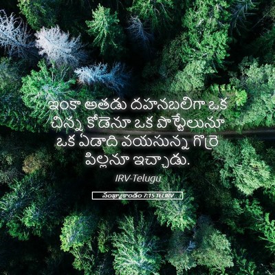 Picture 05 - సంఖ్యాకాండం 7:15 TELIRV - ఇంకా అతడు - Bible Verse Picture