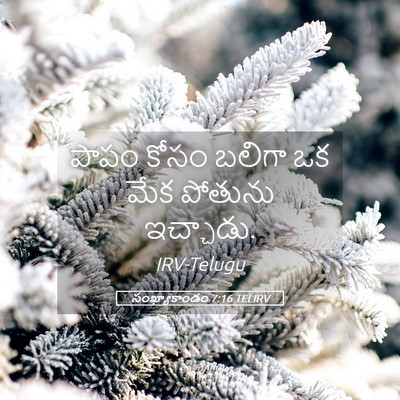 Picture 05 - సంఖ్యాకాండం 7:16 TELIRV - పాపం కోసం బలిగా ఒక - Bible Verse Picture