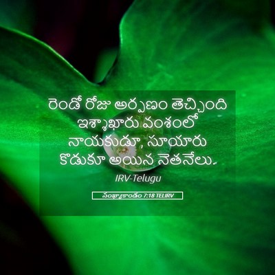 Picture 05 - సంఖ్యాకాండం 7:18 TELIRV - రెండో రోజు అర్పణం - Bible Verse Picture
