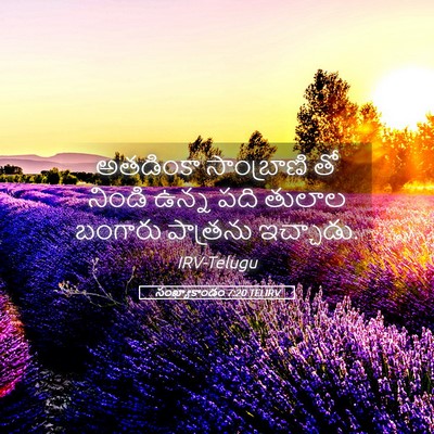 Picture 05 - సంఖ్యాకాండం 7:20 TELIRV - అతడింకా సాంబ్రాణి - Bible Verse Picture