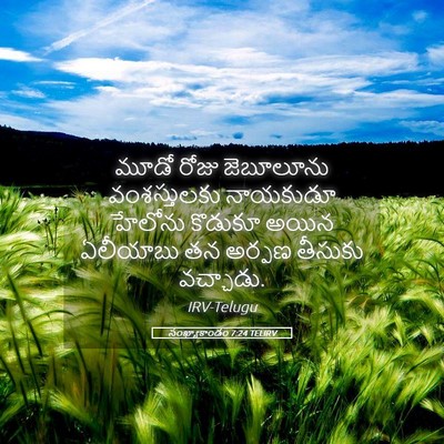 Picture 05 - సంఖ్యాకాండం 7:24 TELIRV - మూడో రోజు - Bible Verse Picture