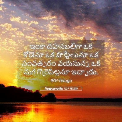 Picture 05 - సంఖ్యాకాండం 7:27 TELIRV - ఇంకా దహనబలిగా ఒక - Bible Verse Picture