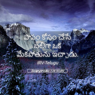 Picture 05 - సంఖ్యాకాండం 7:28 TELIRV - పాపం కోసం చేసే - Bible Verse Picture