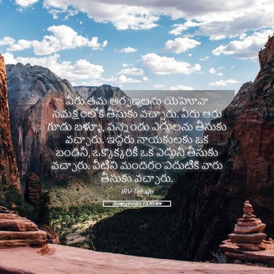 Picture 05 - సంఖ్యాకాండం 7:3 TELIRV - వీరు తమ అర్పణలను - Bible Verse Picture