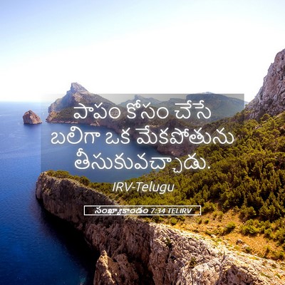 Picture 05 - సంఖ్యాకాండం 7:34 TELIRV - పాపం కోసం చేసే - Bible Verse Picture